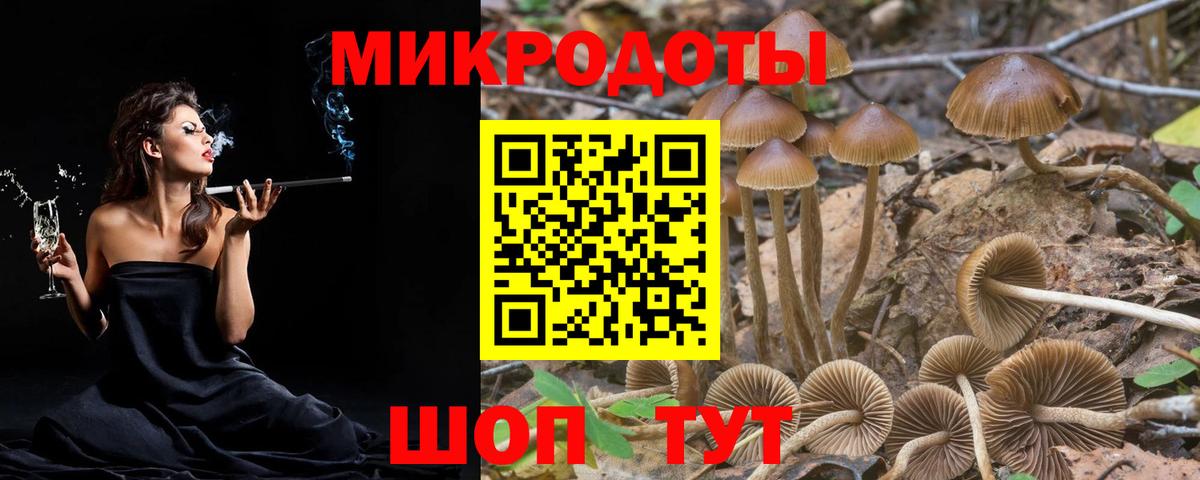 где продают   Вход с VPN  Приморско-Ахтарск  Галлюциногенные грибы Magic Shrooms 